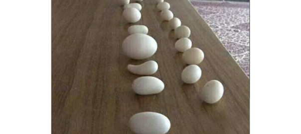 تخم مرغ های عجیب